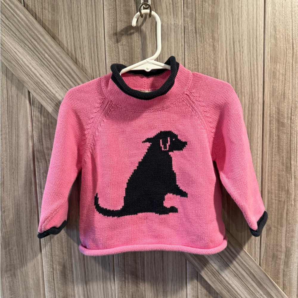 L.L. Bean Pink Sweater with Black Trim